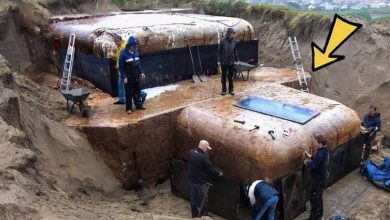 Photo of Woman Discovers Buried Bunker in Her Garden – Then She Sees Why…