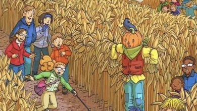 Photo of In just 6 seconds, the fish in the cornfield can only be seen by individuals with outstanding observational abilities!