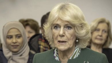 Photo of WHAT QUEEN CAMILLA WORE AT THE ROYAL ENGAGEMENT HAD CAUSED A DEBATE