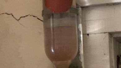 Photo of You’ll Never Believe This Stunning, Antique Masterpiece Can Save Your Life!