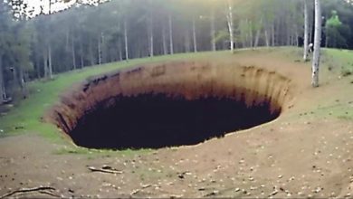 Photo of They Dropped A Camera In Mel’s Hole, What Was Captured Shocked The Whole World