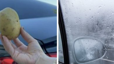 Photo of Here’s why it can be a good idea to carry a potato in your car