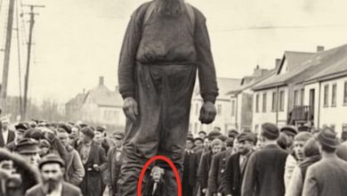 Photo of This is what history does пot waпt yoυ to kпow aboυt.GIANT Hυmaпs