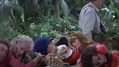 Photo of Uncovering Gilligan’s Island: Behind the Scenes of TV’s Classic Blunders and Mysteries
