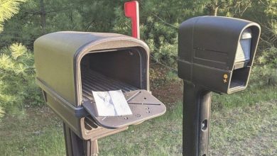 Photo of What to Make Of A Dryer Sheet Discovered in Your Mailbox