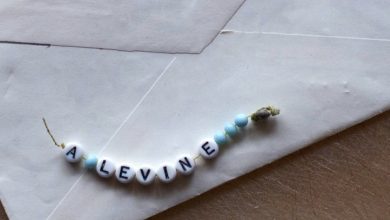 Photo of My Wife Began to Pull Away and Avoid My Daughter and Me – One Day, She Left This Envelope and Vanished