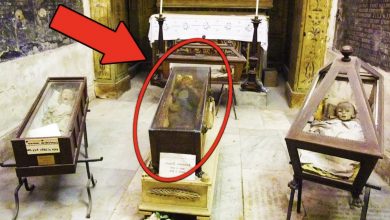 Photo of This Girl Has Been D.e.4.d for a Century, But What She Does Every Night Is Terrifying!