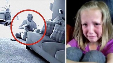 Photo of A Heartwarming Mystery Unfolds in a Suburban Home