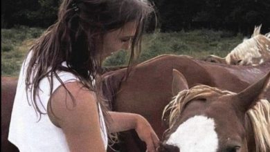 Photo of In the image, Emily stood beside her cherished horse, this snapshot would ignite a chain of events that would dramatically alter…