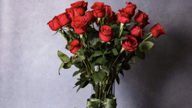Photo of I Surprised My Boyfriend with Roses at His Job, but He Rejected Them Harshly — I Gave Him a Memorable Lesson Afterwards