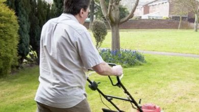 Photo of Single Father Helps Elderly Neighbor With Yard Work, Receives Unexpected Contact From a Lawyer