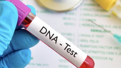 Photo of Man Discovers He’s Not the Biological Father Through DNA Test, Yet His Wife Remains Faithful