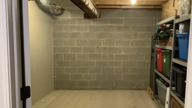 Photo of Relative Charged Me $695 for Moth Damage After Treating My Home as a Storage Space – I Delivered a Dose of Reality