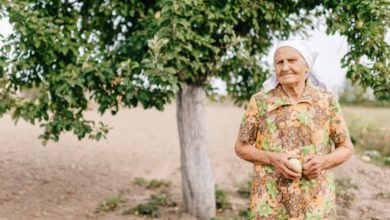 Photo of My Grandma Declined to Sell Her Garden – The Response from Her Neighbors Was Astonishing