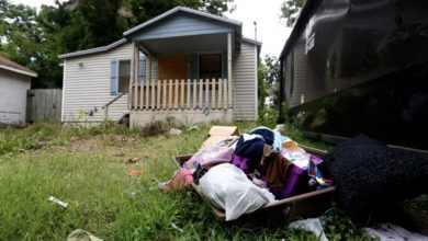 Photo of My Neighbor Ruined My Backyard Out of Spite, but My Retaliation Was Even More Severe