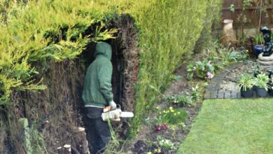 Photo of I Discovered My Neighbor Cutting My Hedge at Midnight – He Was Unprepared for the Severity of Karma’s Retaliation