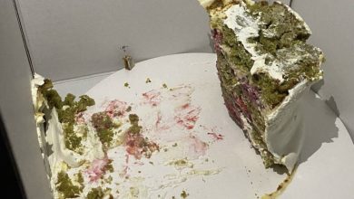 Photo of My MIL and Her Friends Devoured Our $1000 Wedding Cake the Evening Before Our Wedding, So I Decided to Teach Her a Lesson