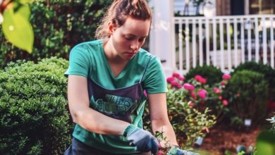 Photo of My Daughter’s Landlord Schemed Against Her to Evict and Hike the Rent – We Outsmarted Him with a Clever Lesson