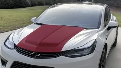 Photo of My House Was Robbed Last Week — Today, My Unemployed Son Suddenly Bought Himself a Sports Car