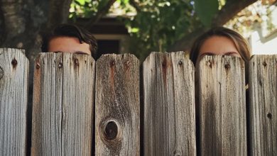 Photo of Three Stories About Strange Neighbors with Unexpected Endings