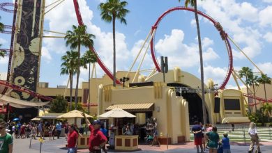 Photo of I organized a complimentary week at Disney World for my brother’s family as a birthday present for his kids—yet I wasn’t invited to celebrate with them
