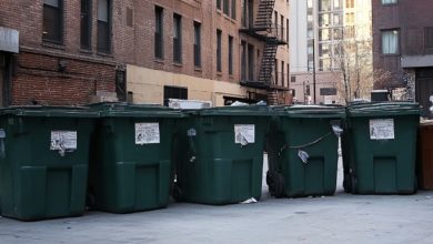 Photo of My landlord threw my belongings in the trash and evicted me—and the very next day, she was hauling her own items out to the curb