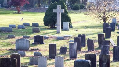 Photo of My grandkids had already set aside a cemetery plot and ordered a headstone for me – but they forgot I’m more than just a gentle soul