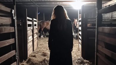 Photo of Each night, my engaged granddaughter would quietly sneak into the stable until one evening I trailed her—and instantly regretted it