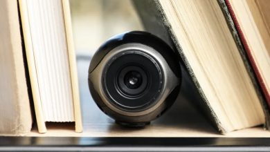 Photo of Food and treats began mysteriously vanishing from my home—when I checked the hidden camera footage, I was utterly shocked