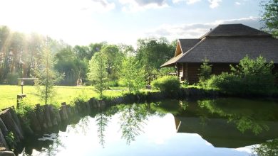 Photo of My entitled neighbor filled in my pond – and I made sure he learned not to mess with a seasoned woman