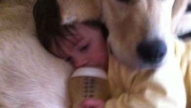 Photo of HE WOULDN’T LET ANYONE NEAR MY BABY—AND THEN I FOUND OUT WHY