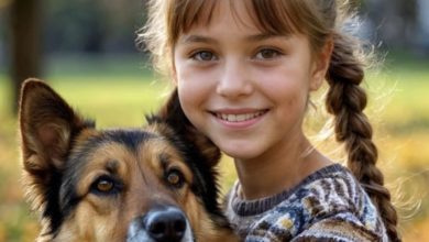 Photo of The father gave his sick daughter a dog. When the girl passed away, the dog ran away, and the father was willing to do anything to find it.
