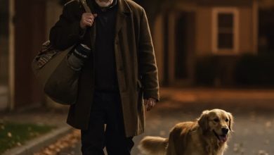 Photo of His son and daughter‑in‑law evicted him from his own home—yet it was a dog that led him to a brand‑new start