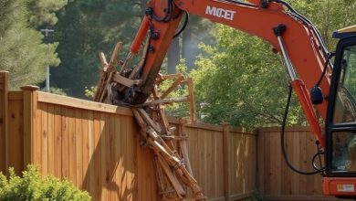 Photo of Why Tearing Down My Fence Changed Everything for My Neighbor