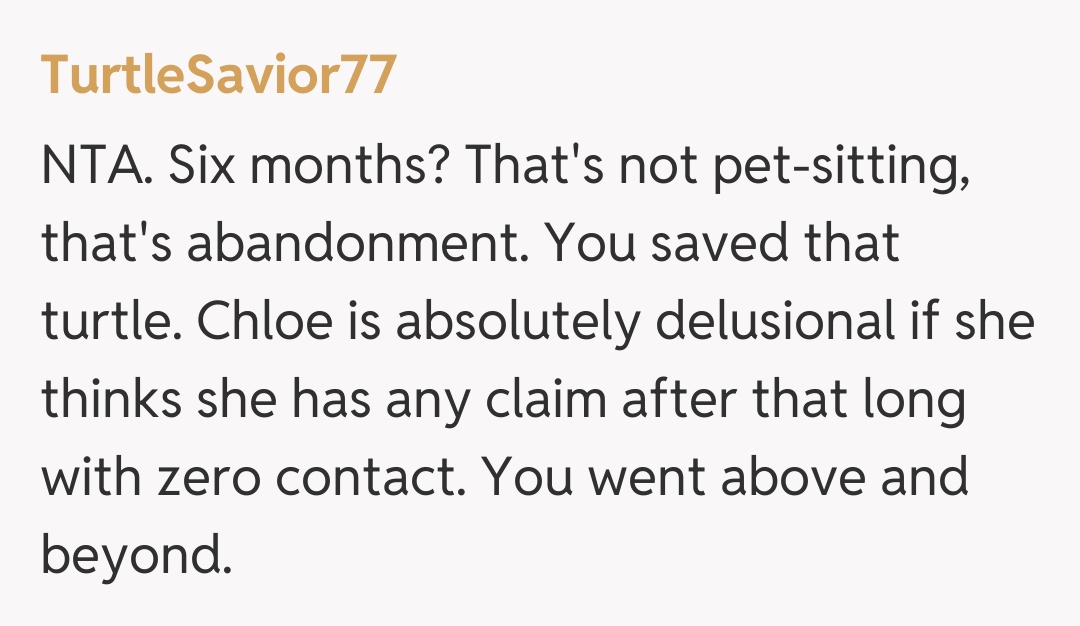 Comentariu de la TurtleSavior77