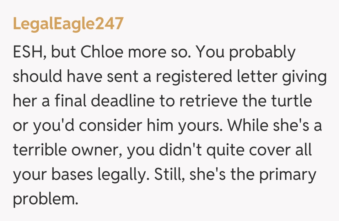 Comentariu de la LegalEagle247