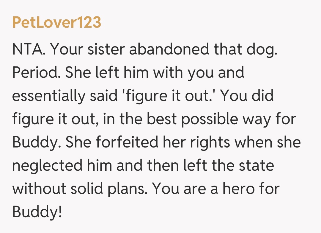Comentariu de la PetLover123