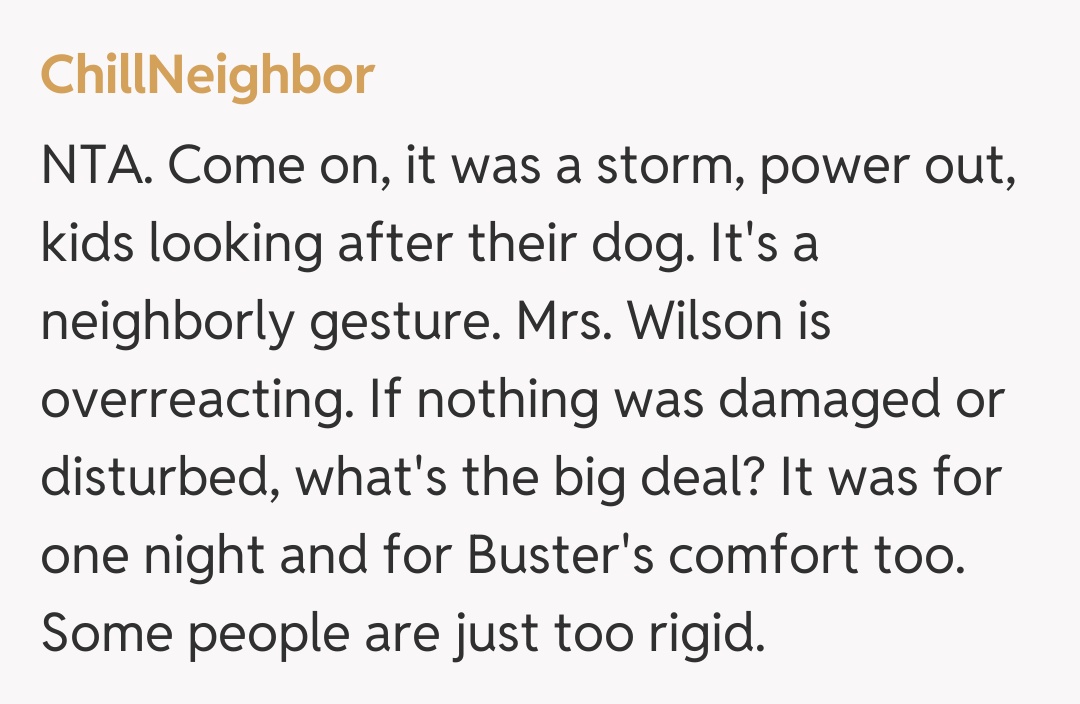 Comentariu de la ChillNeighbor