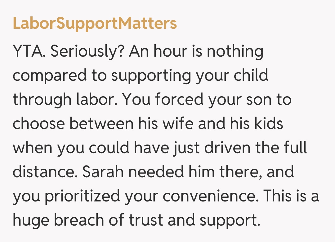 Comentariu de la LaborSupportMatters