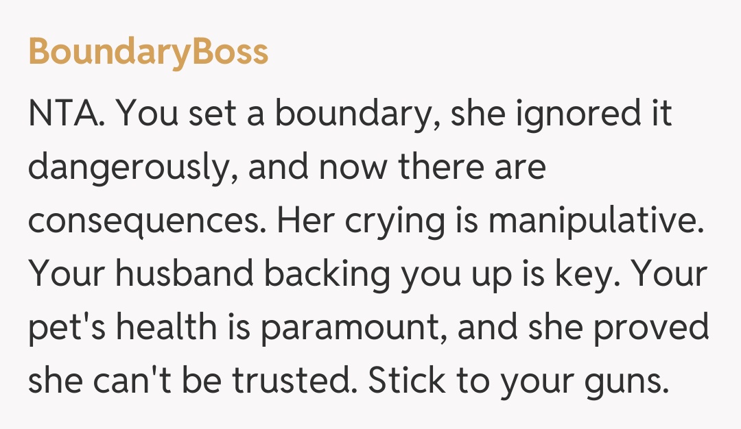 Comentariu de la BoundaryBoss