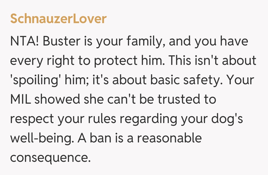 Comentariu de la SchnauzerLover