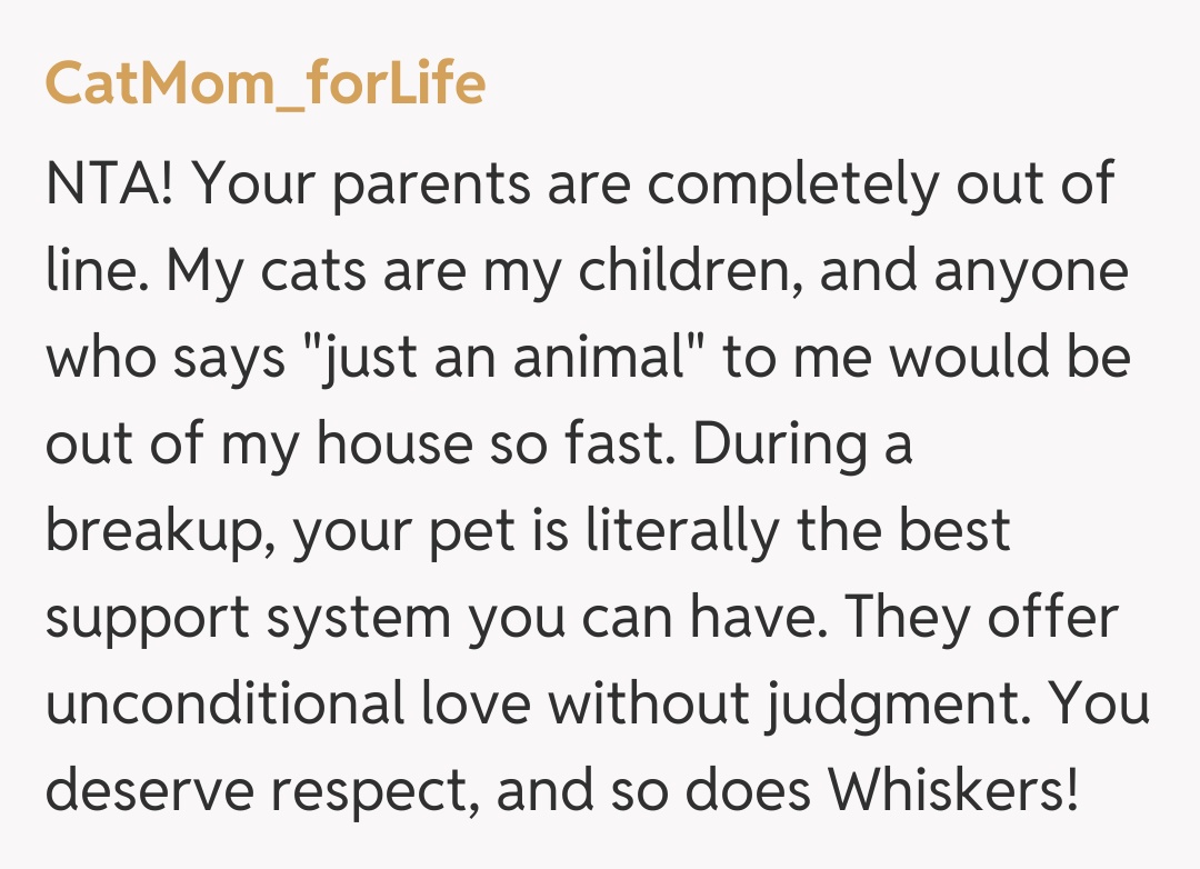 Comentariu de la CatMom_forLife