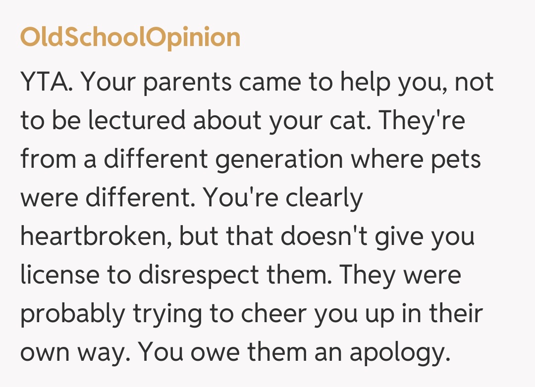 Comentariu de la OldSchoolOpinion