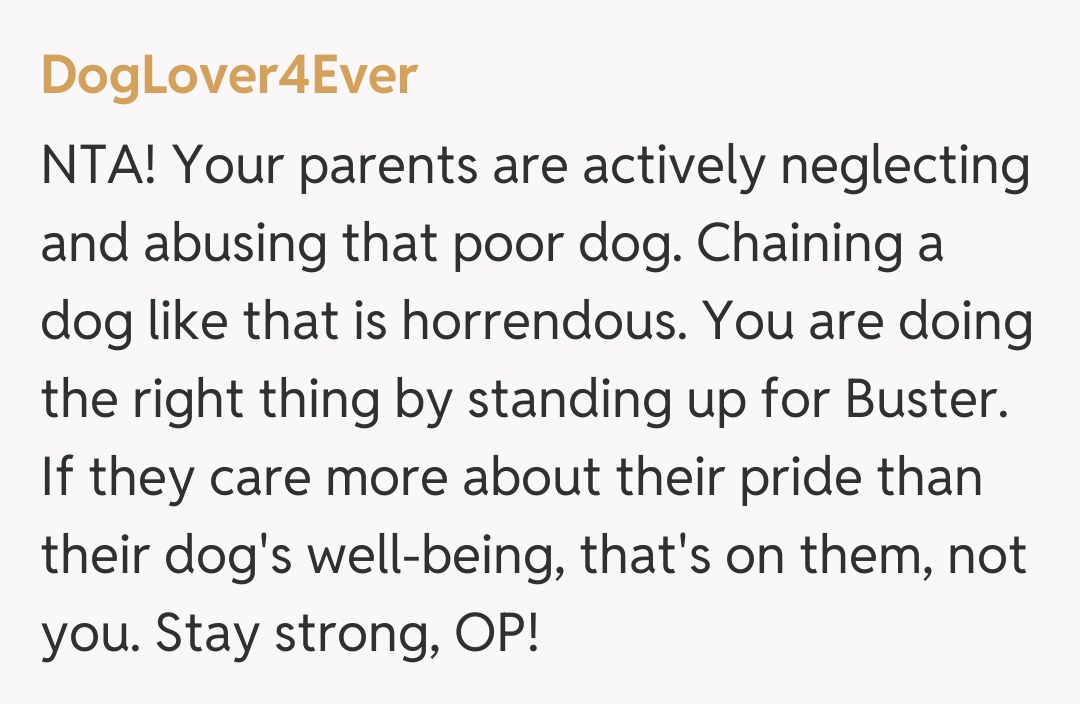Comentariu de la DogLover4Ever