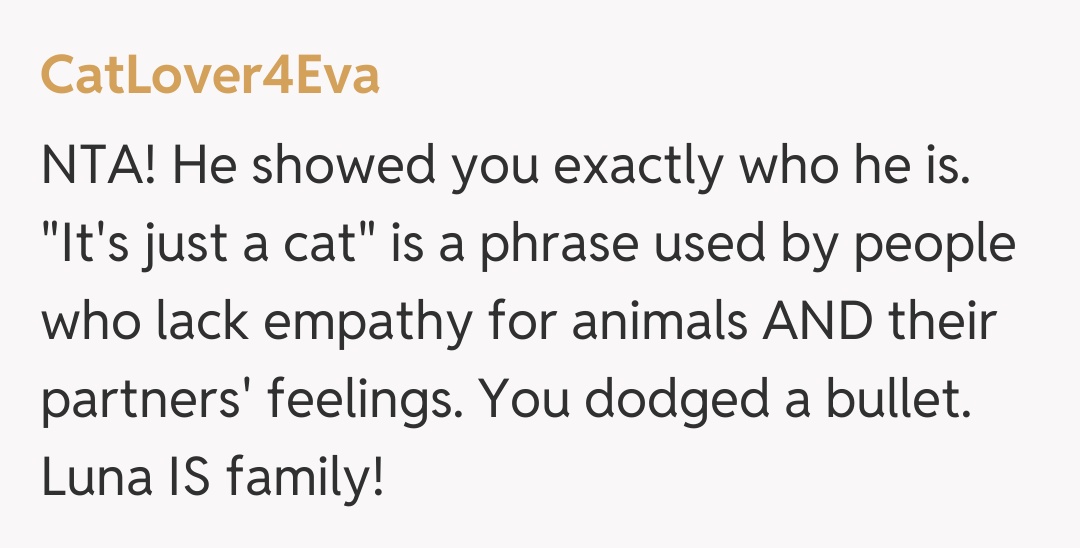 Comentariu de la CatLover4Eva