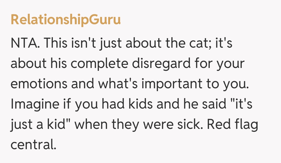 Comentariu de la RelationshipGuru