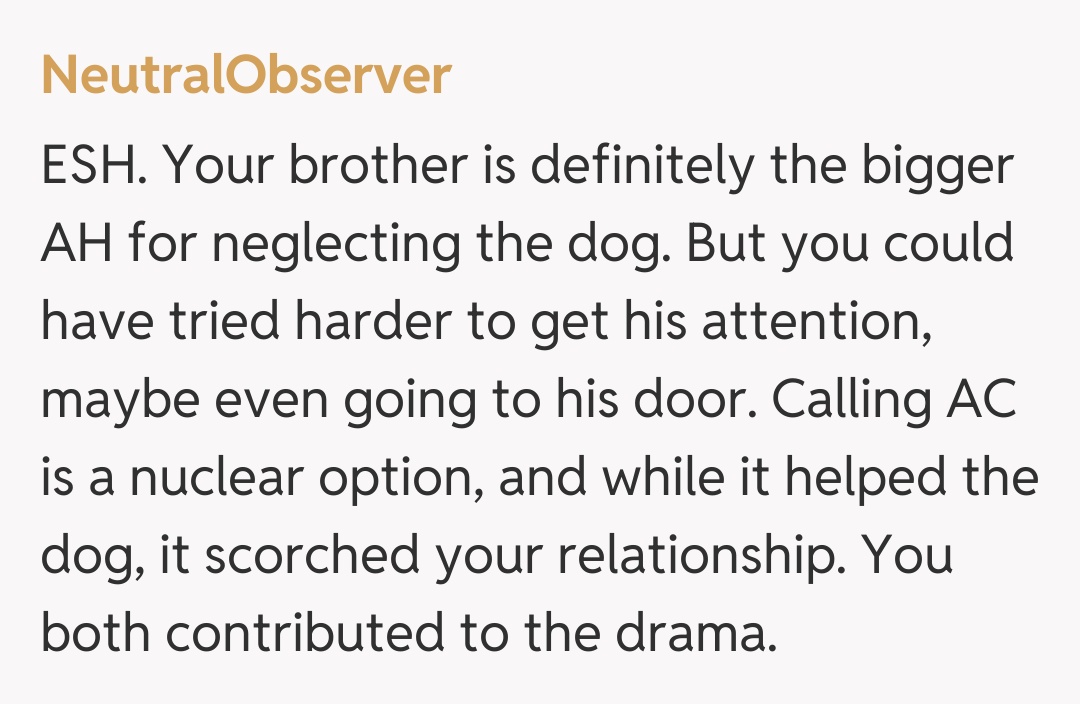 Comentariu de la NeutralObserver