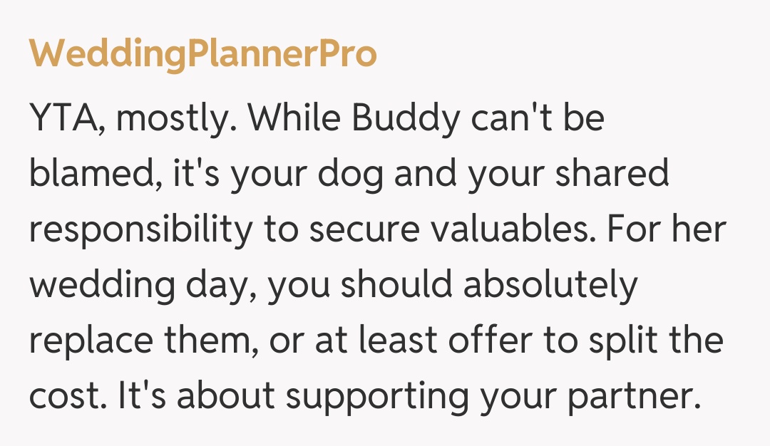 Comentariu de la WeddingPlannerPro