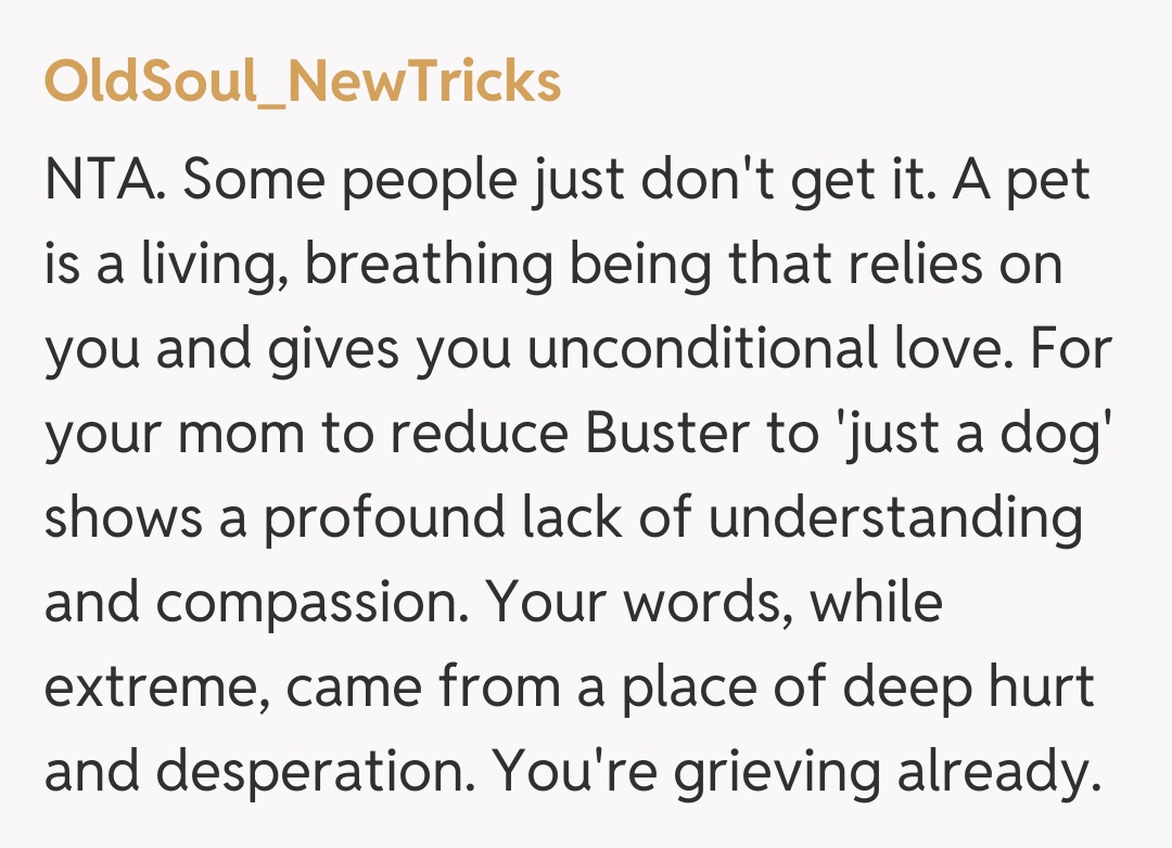 Comentariu de la OldSoul_NewTricks