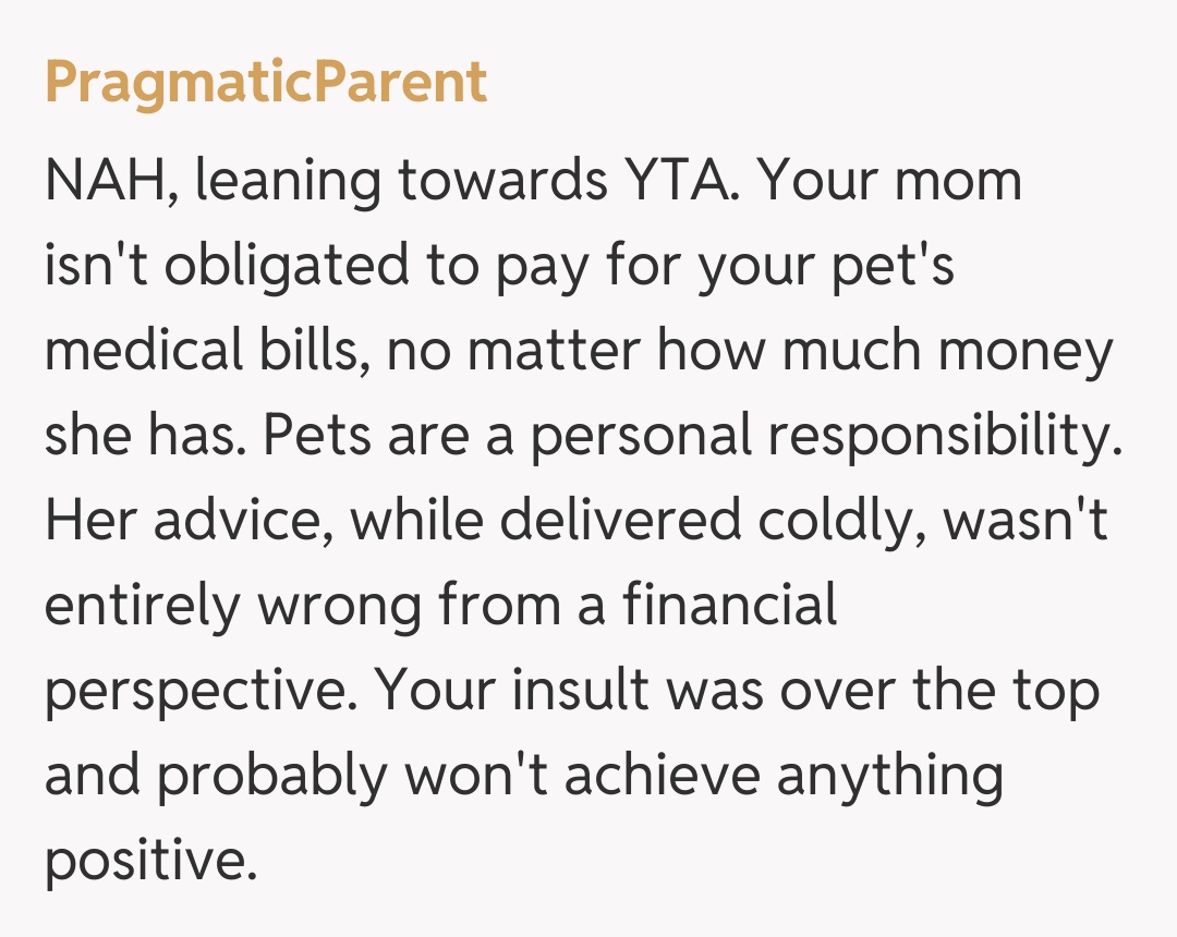 Comentariu de la PragmaticParent
